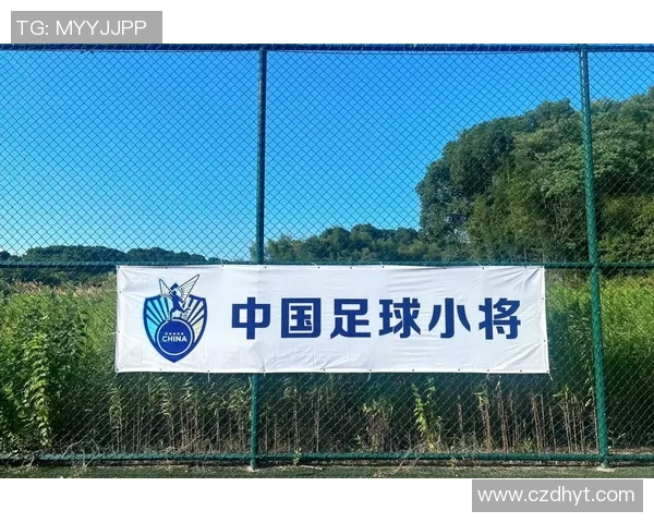 足球有几家探讨各大俱乐部的历史成就与未来发展潜力